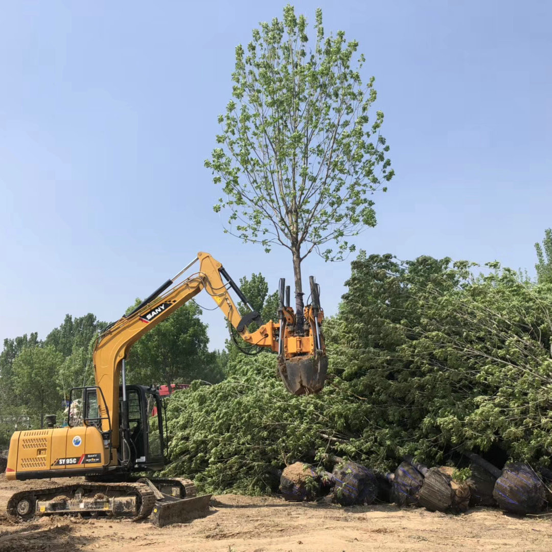 80cm Excavator Type Tree Spade