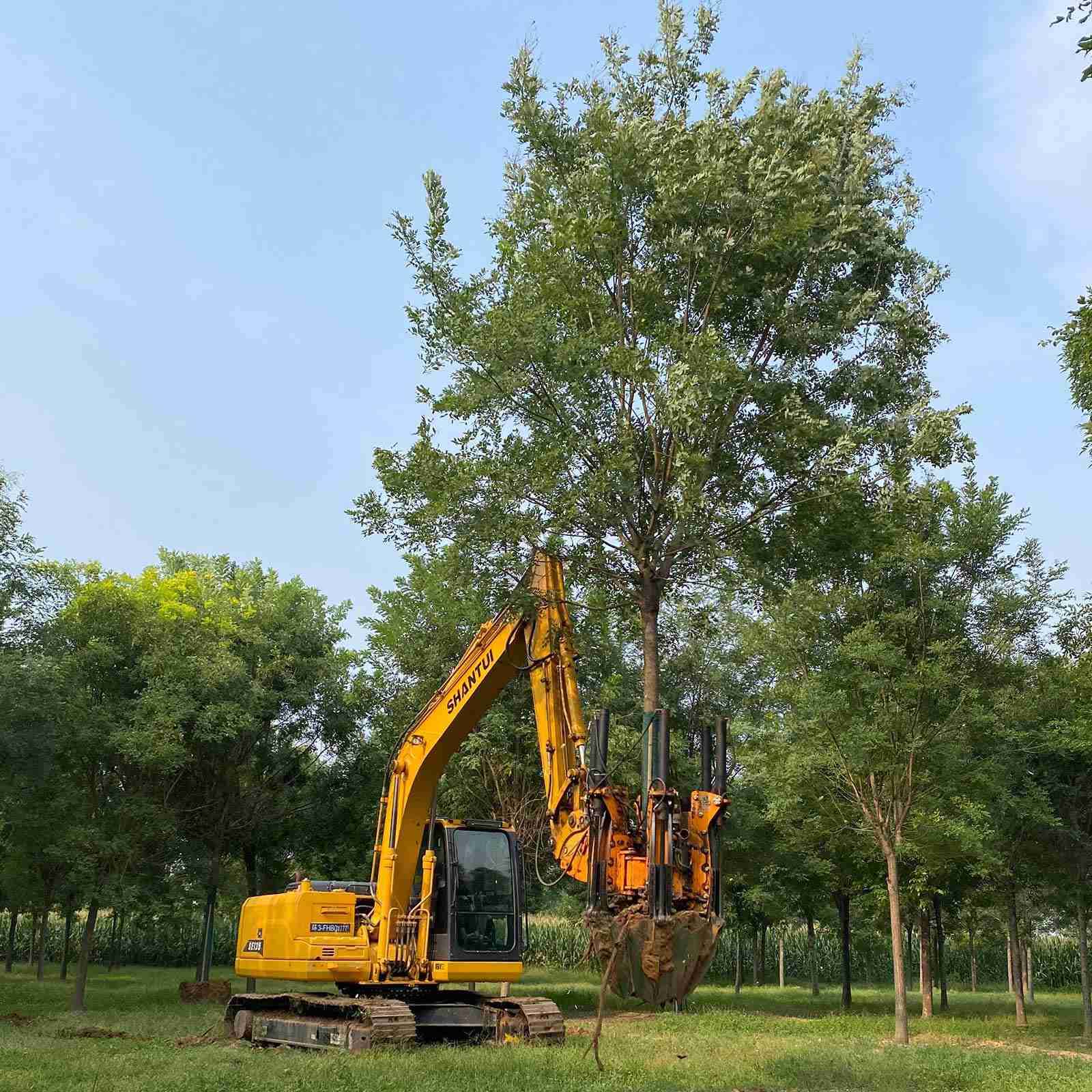 40CM Excavator Type Tree Spade