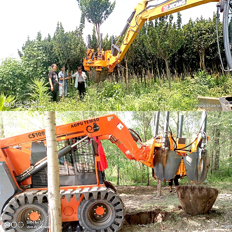 Large Tree Spade.jpg Large Tree Spade.jpg