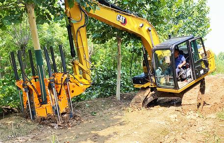 Pá de árvore de 100 polegadas para venda. jpg