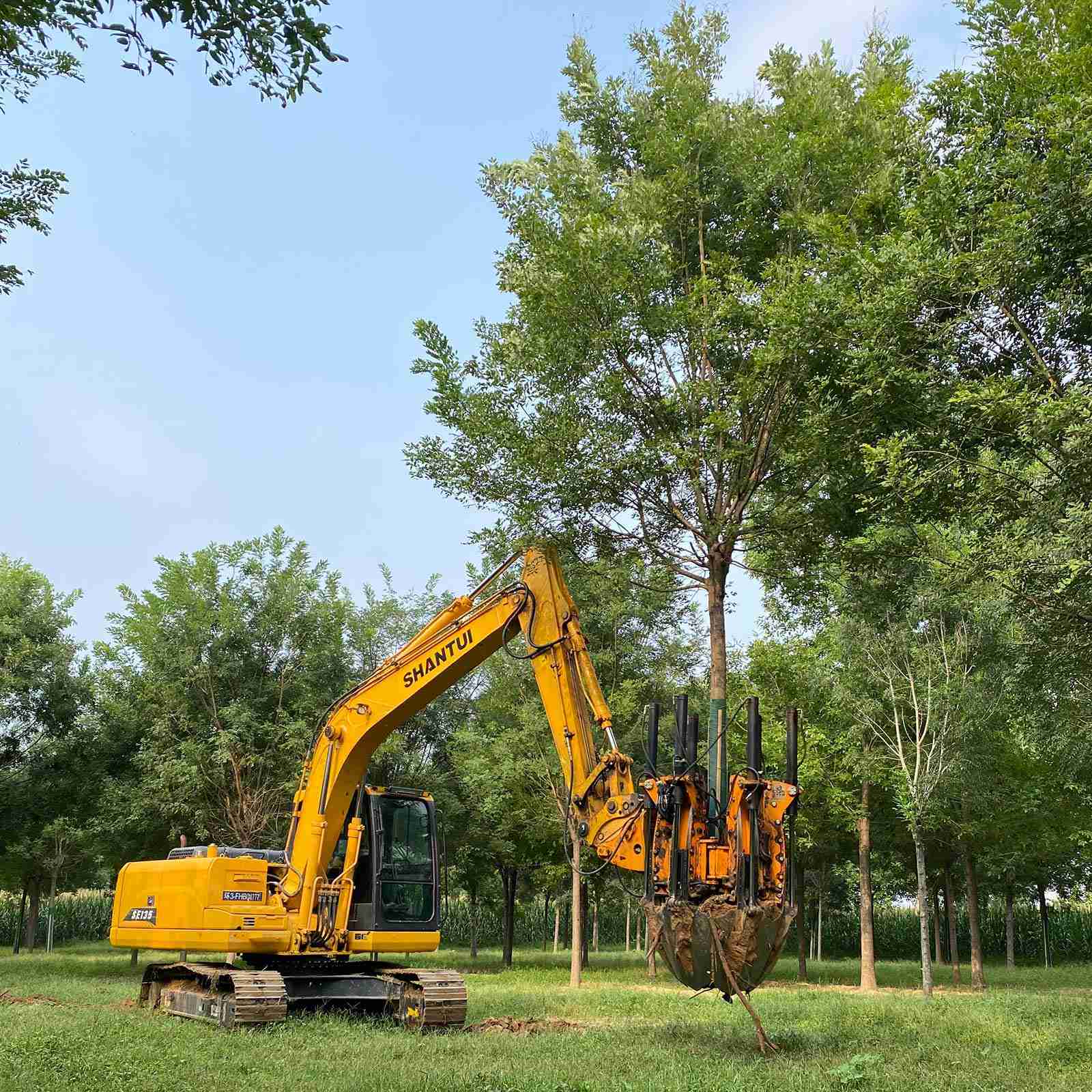 40CM Excavator Type Tree Spade