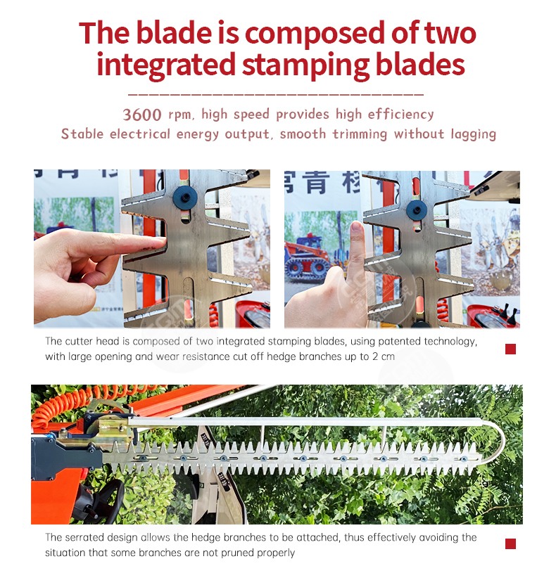 Extendable Hedge Trimmer.jpg Extendable Hedge Trimmer.jpg