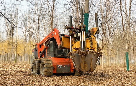 Pá de árvore de 100 polegadas. jpg