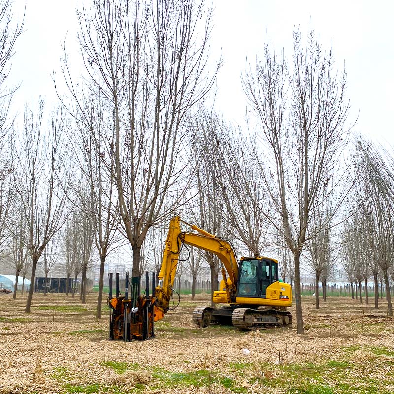 चीन चांगकिंग स्पीड स्पेड