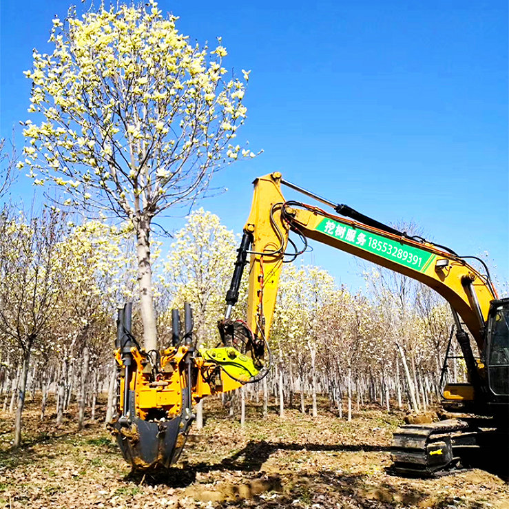 80cm Excavator Type Tree Spade