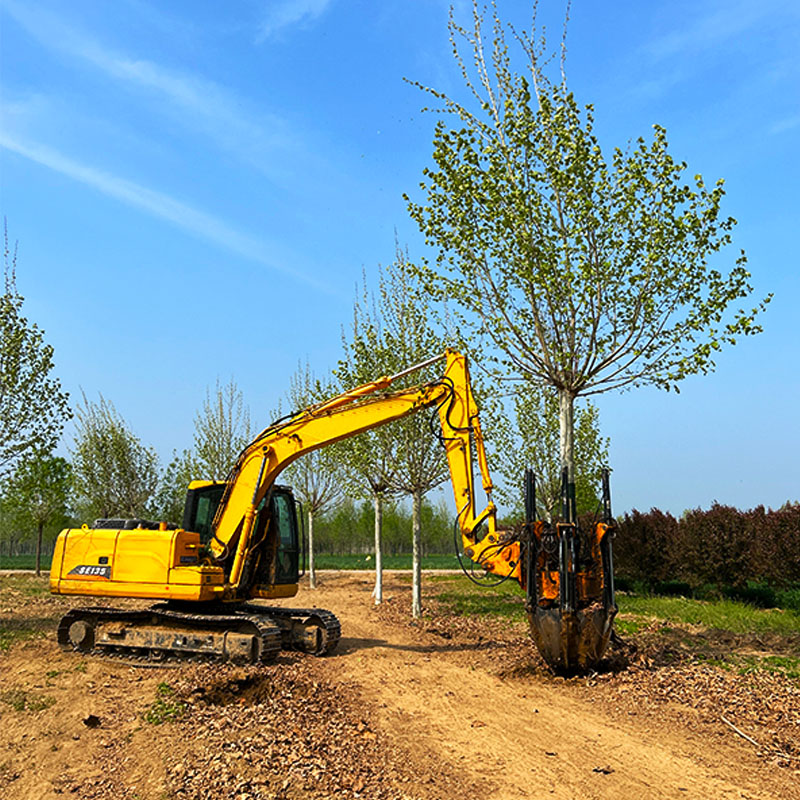 Tree Spade For Tractor Loader
