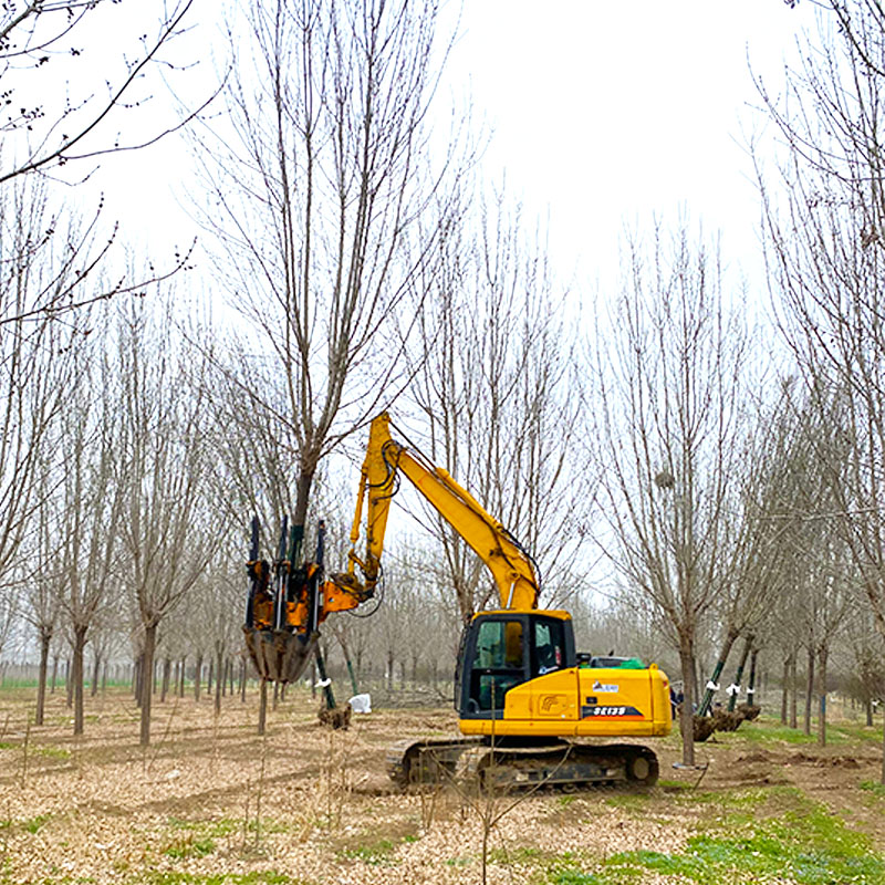 Baumalight Tree Spade.jpg Baumalight Tree Spade.jpg