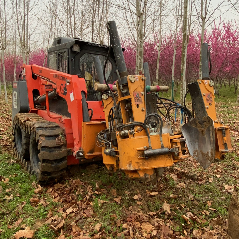 Tree Spading Near Me