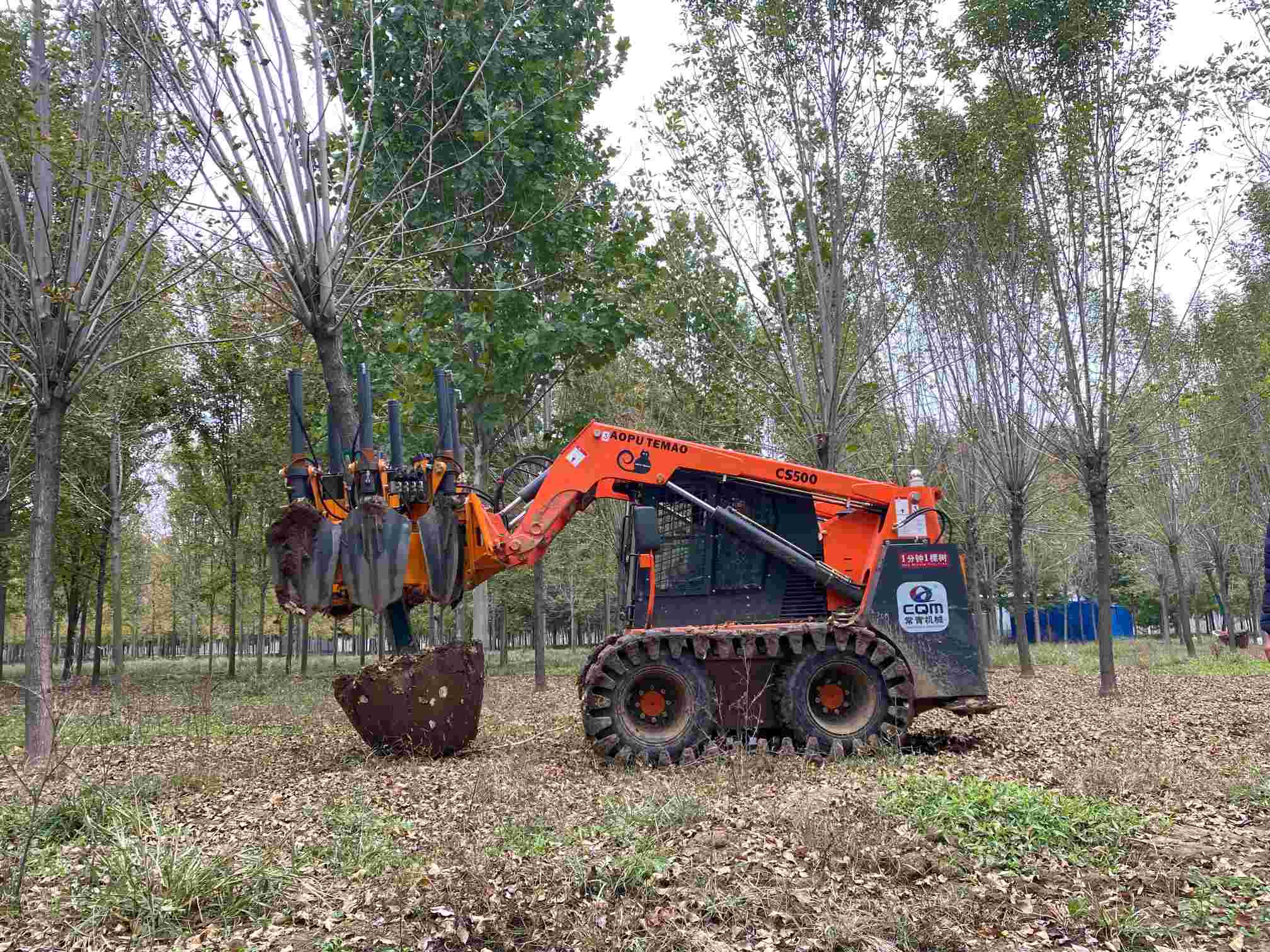 50CM Skid Steer Loader Type Tree Spade