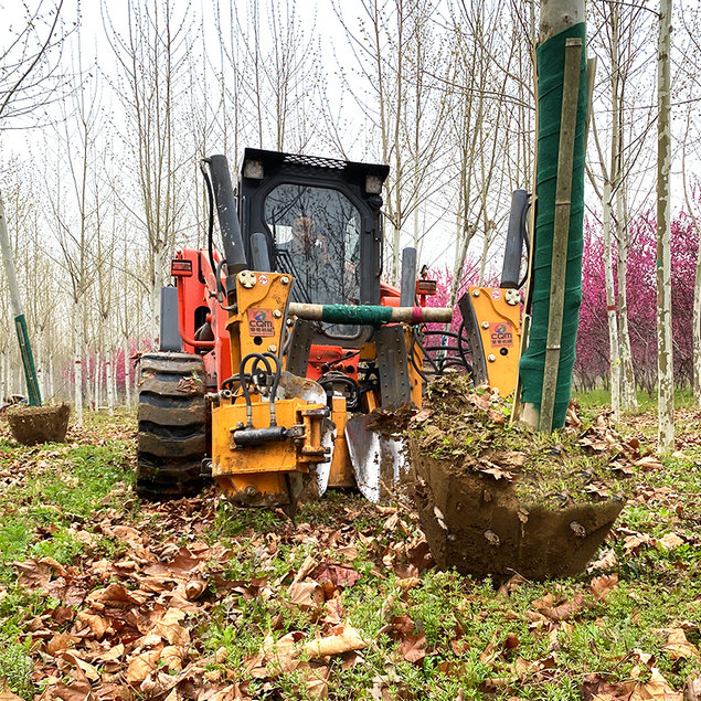 Air Spade Tree Roots