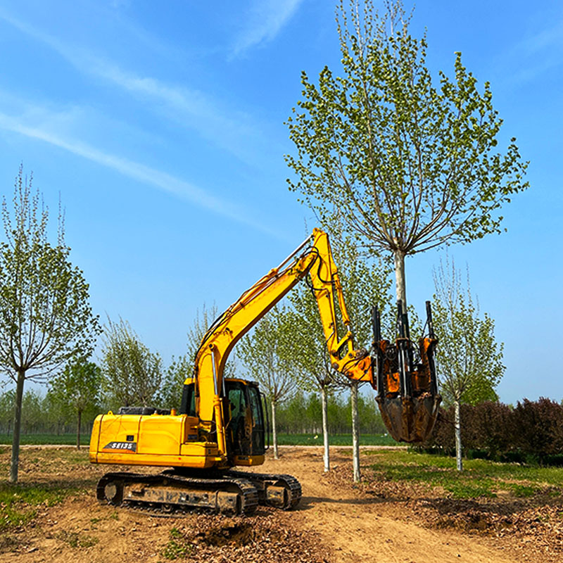 50 Tree Spade.jpg 50 Tree Spade.jpg