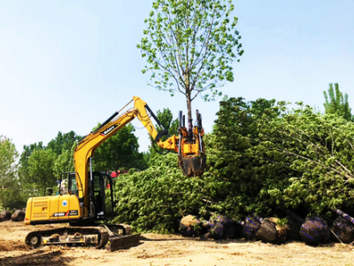 Hydraulic Tree Spade For Sale