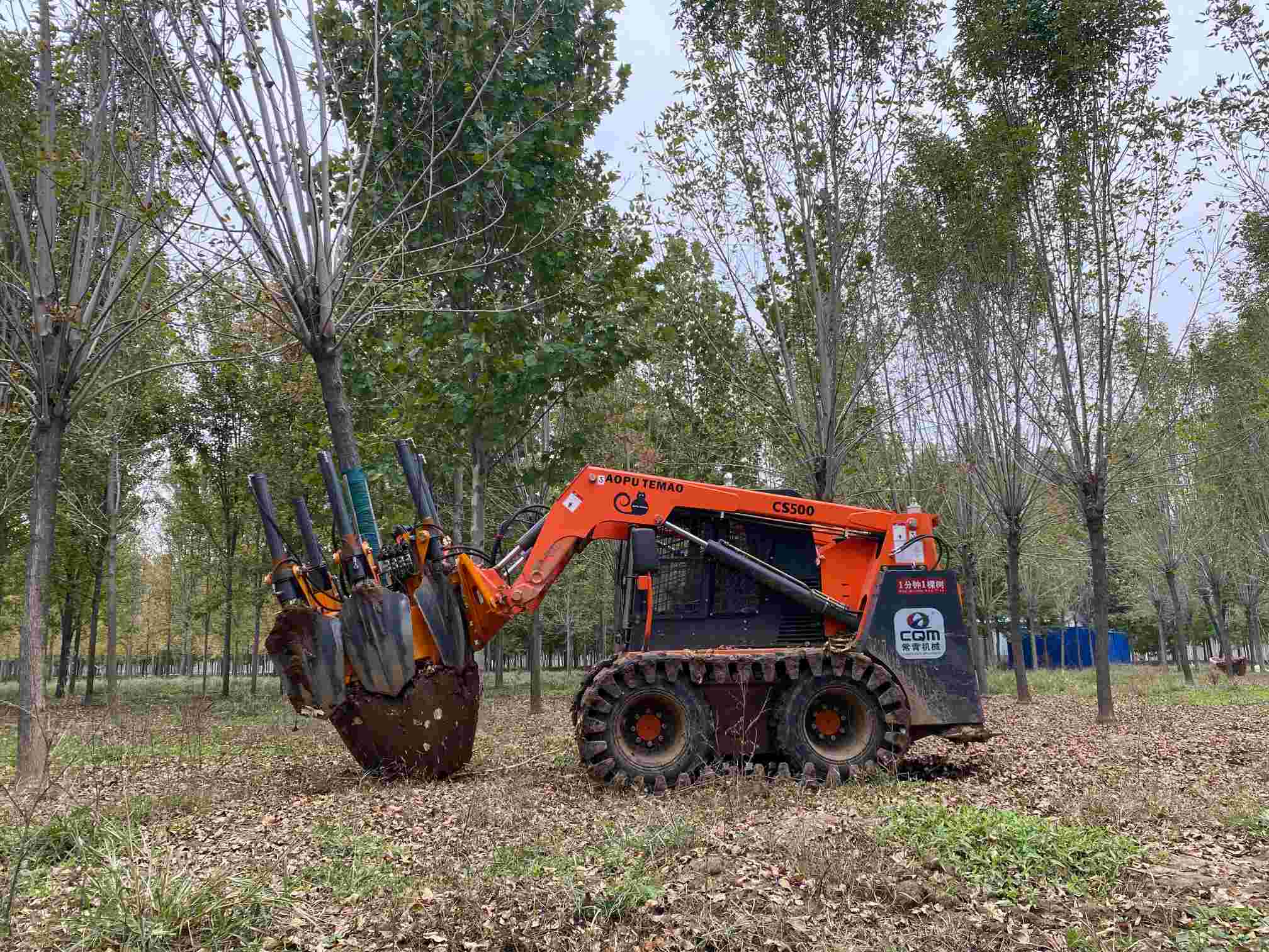 50CM Skid Steer Loader Type Tree Spade