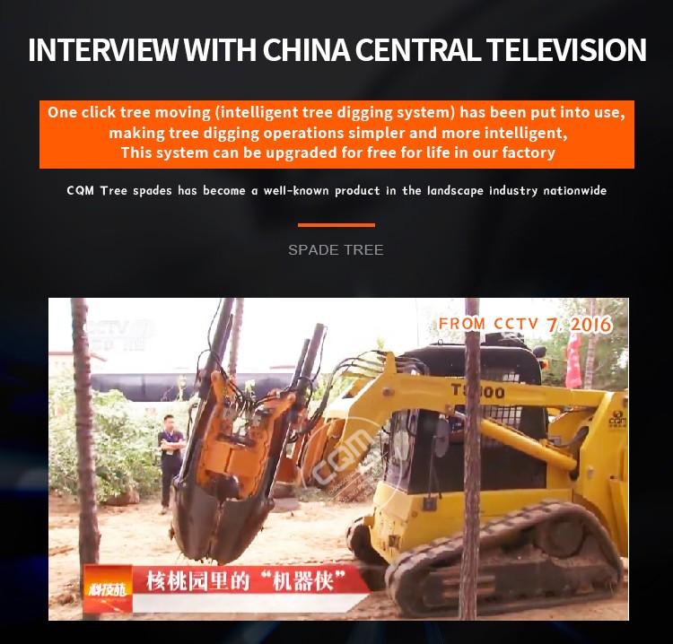 Cây Mover Cần Bán.jpg