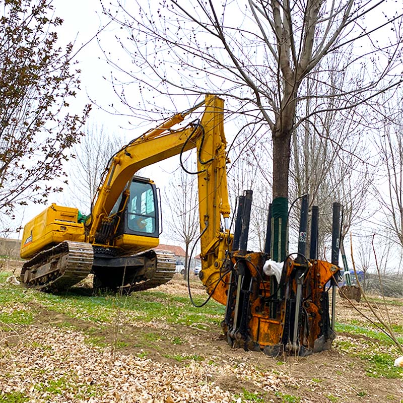 Tree Moving Machine For Sale