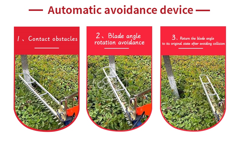 Extendable Hedge Trimmer.jpg Extendable Hedge Trimmer.jpg