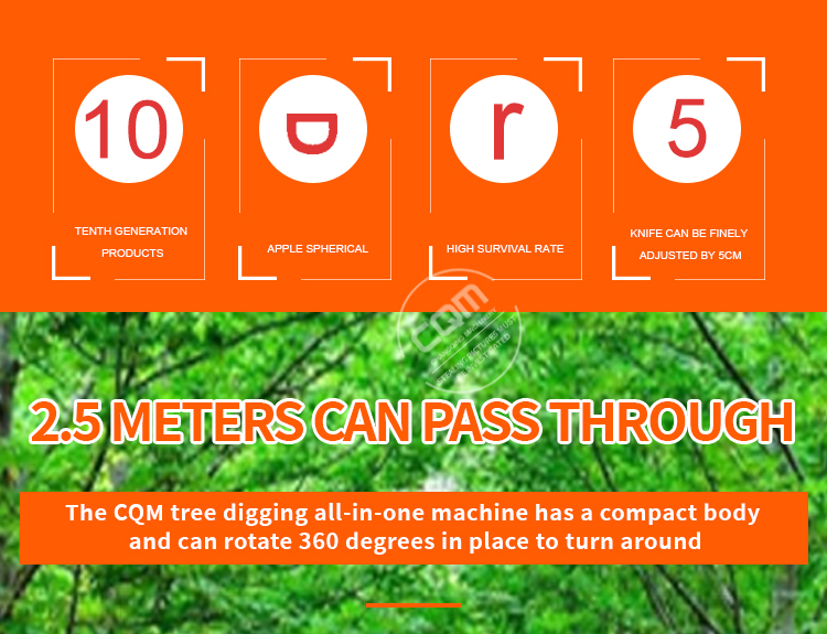 Cây Thuổng Cây Cần Bán.jpg