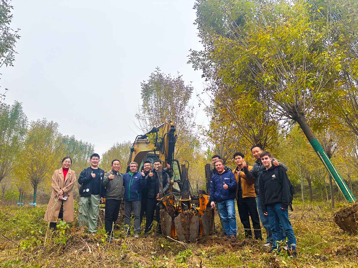 Skid Loader Tree Spade.jpg Skid Loader Tree Spade.jpg