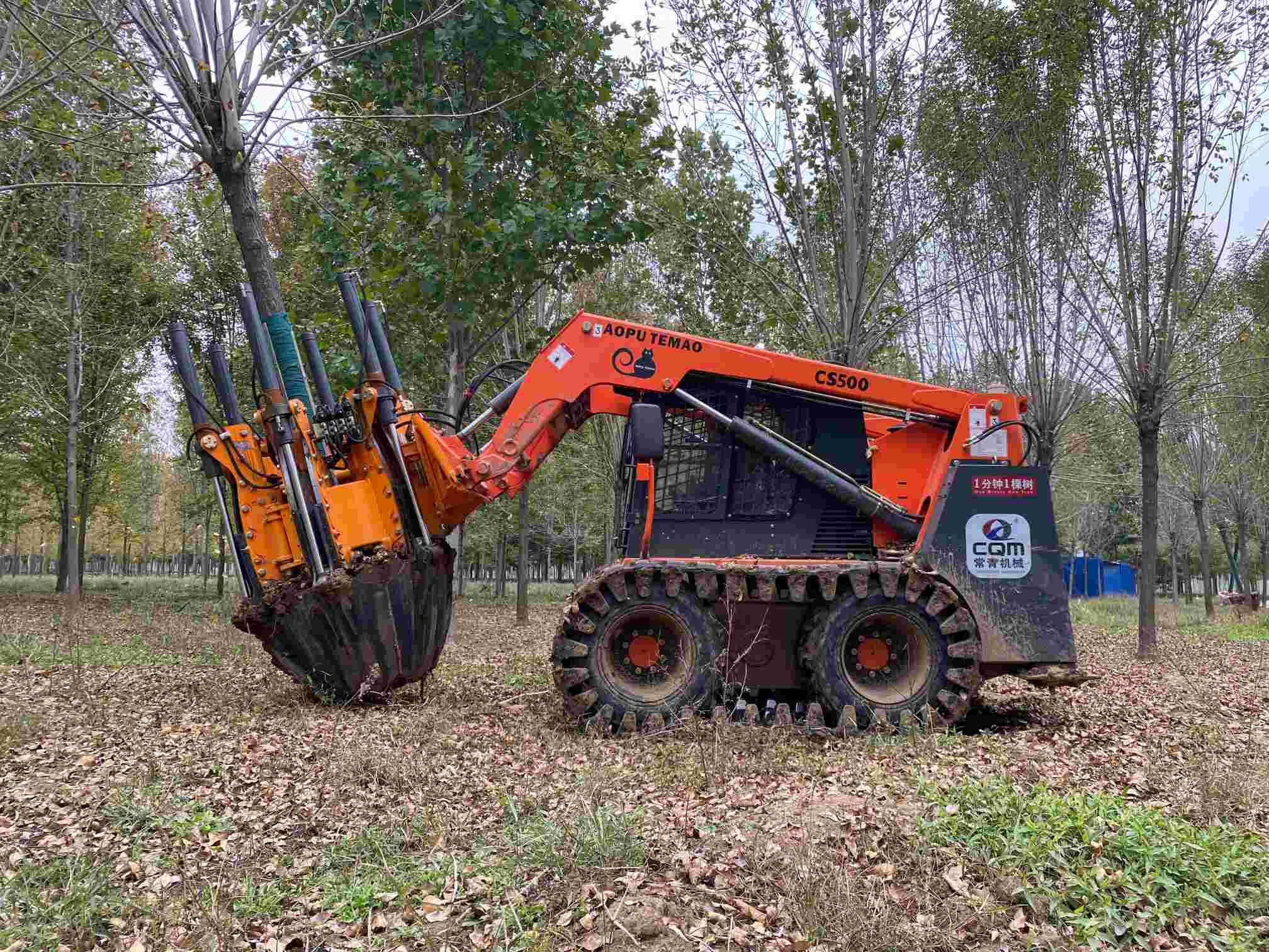 50CM Skid Steer Loader Type Tree Spade