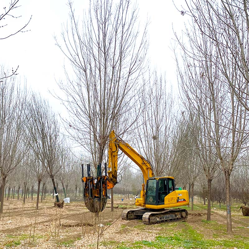 Sub Compact Tractor Tree Spade.jpg Sub Compact Tractor Tree Spade.jpg