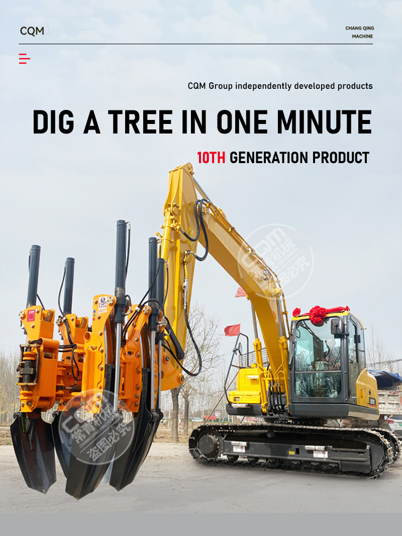 Árvore da China . jpg