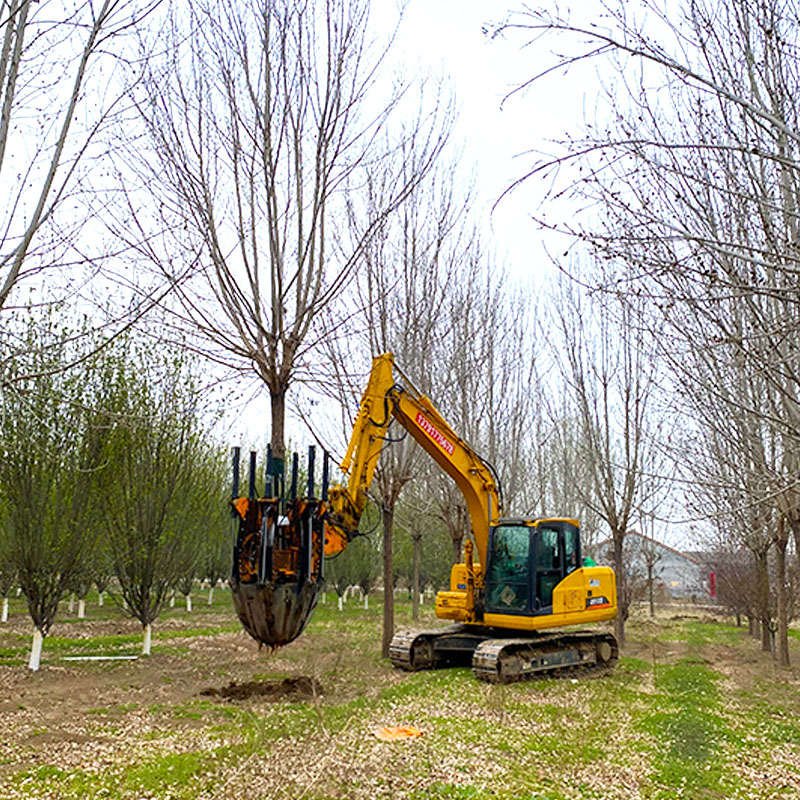 Spade Planting Trees